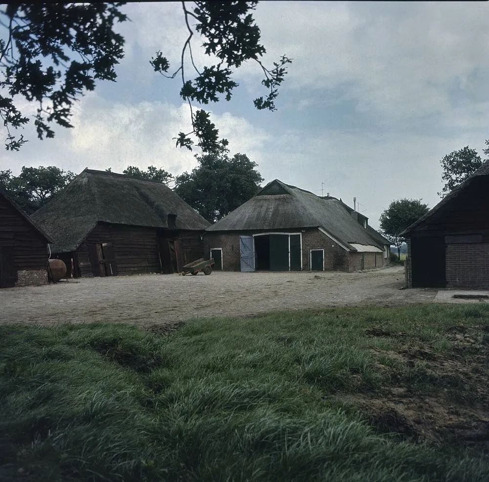 Fluitenberg: Overzicht met schuren op het boerderijcomplex - Fluitenberg - 20379394 - RCE